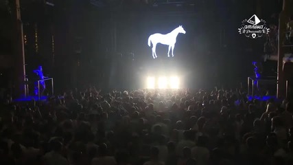 Amnesia Ibiza [hd]