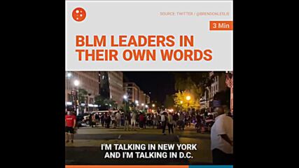 Blm е еврейска болшевишка организация. Тя няма нищо общо с помагането на чернокожи хора..mp4