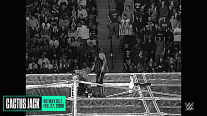 Superstars falling off Hell in a Cell: WWE Playlist