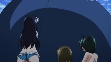 Vividred Operation 6
