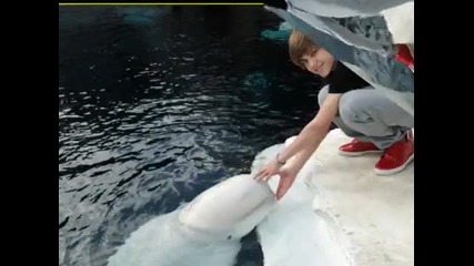 Justin Bieber at Sea World in San Diego (may 14th, 2010) 