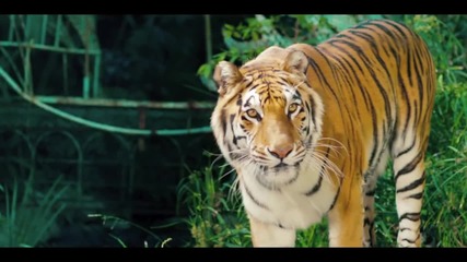 Tyga - Hookah ft. Young Thug