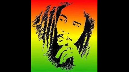 Bob Marley Babylon system