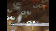 Кексчета с формата на сова станаха хит в Холандия