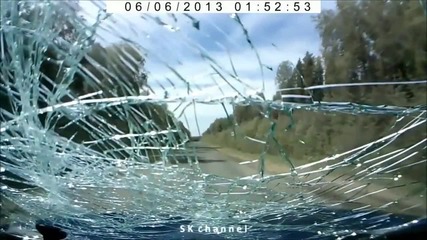 06.2013-1-най-...?...жени,хора и животни на планетата