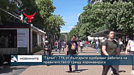„Галъп“: 77% от българите одобряват работата на правителството срещу коронавируса