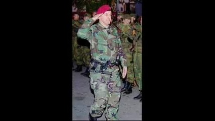 Arkanovi Tigrovi !!! Cccc !!!