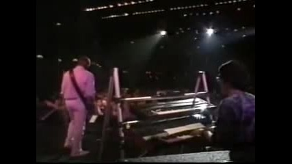 Youtube - Snowy White-bird of paradise (live).mp4