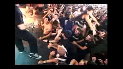 Mosh Pit And Stage Dive