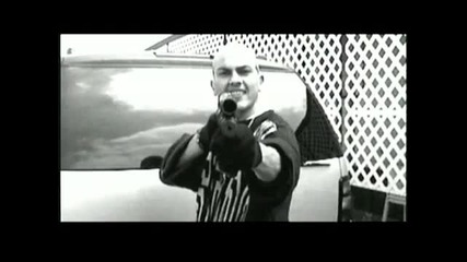 No Warning Shots Levas (tekila61904) 