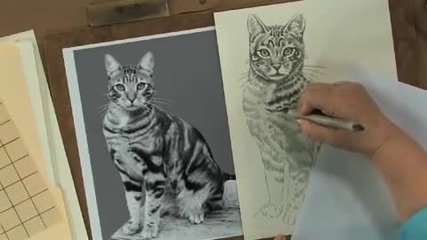 Рисуване на Котка :* Страхотно