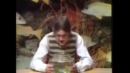Monty Python - Fish Club 