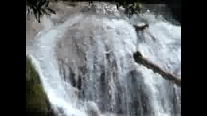 Cascadas De Agua Azul - Chiapas