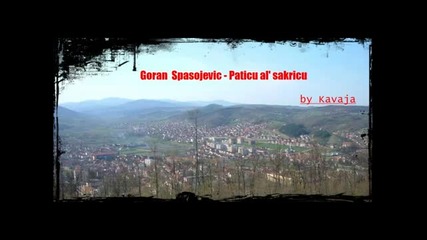 Goran Spasojevic - Paticu al sakricu.wmv