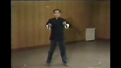 Wing Chun - Yip Man & Yip Chun 4