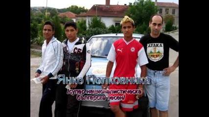 Янко Полковника