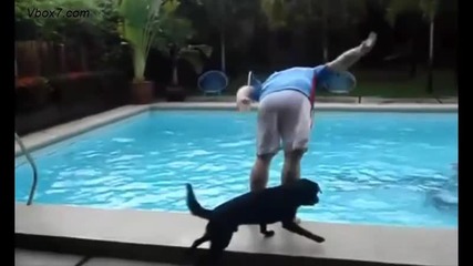 На басейн с куче