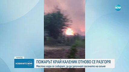 Пожарът край видинските села отново се разгоря