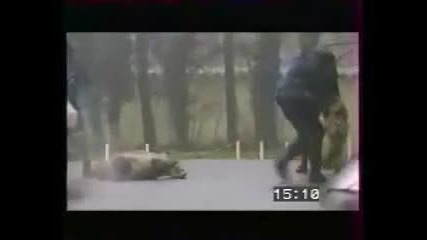 Bad Ass Police Dog