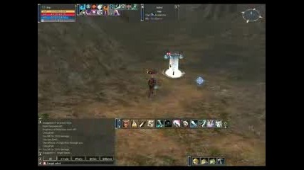 Lineage 2 (dvp) - Critical Damege