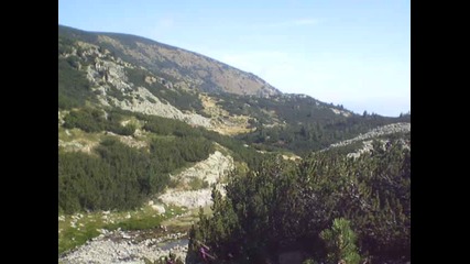 Красотата Пирин 1 