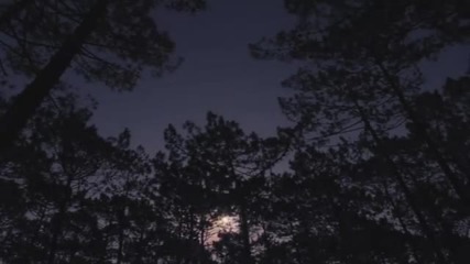 Smith & Hack - Falling Stars