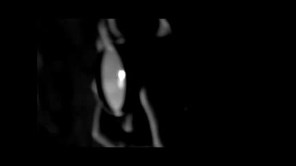 Feist - Brandy Alexander