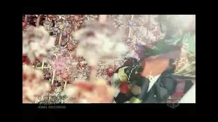 [pv] Mizuki Nana - Etsuraku Camellia (704x480 Xvid M - On!)