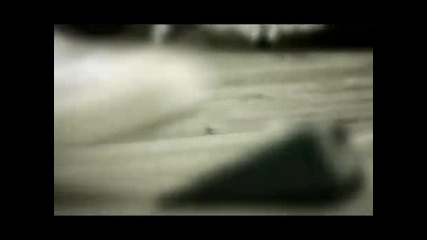 The Blue Van - Silly Boy