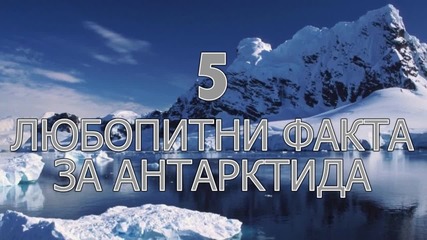 5 любопитни факта за Антарктида