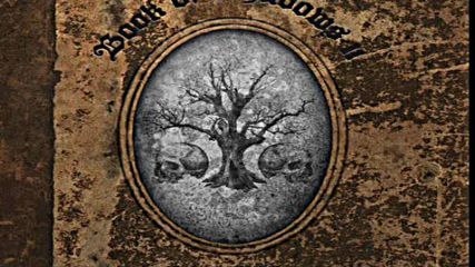 Zakk Wylde - Lay Me Down