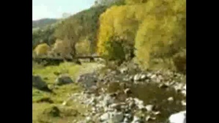 Зелената Планета.wmv