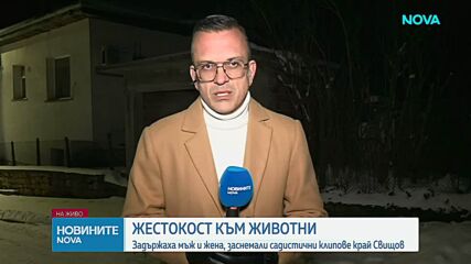 Нов случай на мъж и жена, изтезавали животни, заснемали насилието и продавали видеата