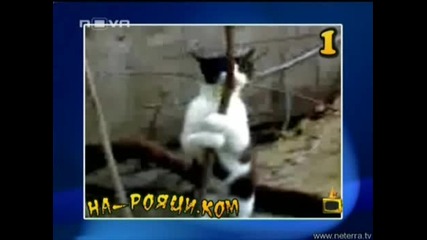 Господари на ефира 24.03.2008 - На-Рояци.Ком