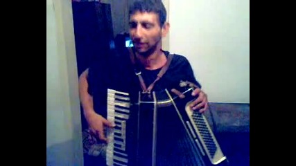 Винишките музиканти
