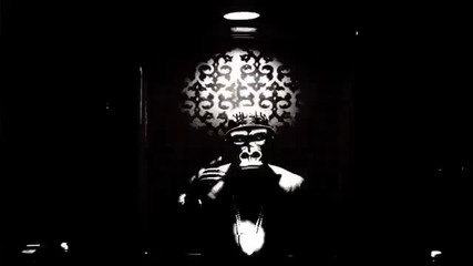 Gorilla Zoe - Work