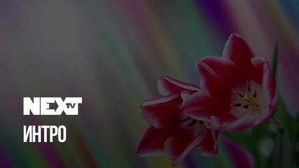 NEXTTV 038: Интро