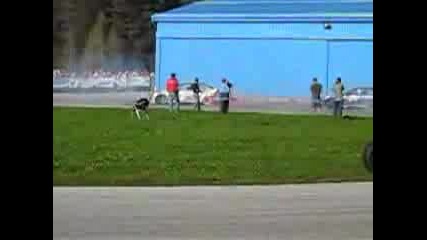 Bmw - Pro Drift