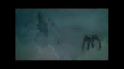 Digimon - Amv - Lightning