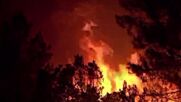 Над 550 души бяха евакуирани при пожар в Испания