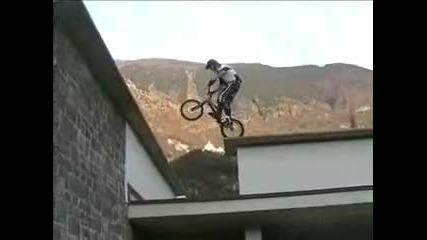 Trial Life