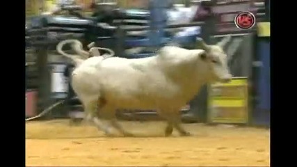 Dustin Hall Vs. King Solomon 