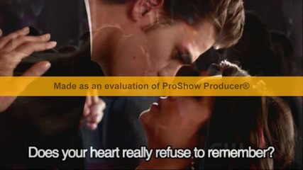 Stelena Forever