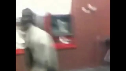 Ненормален Циганин Смях 100%