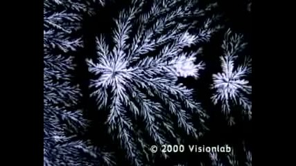 The secret of life energy Ojas Част 2
