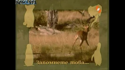 Енциклопедия На Животните - Импала [bg Audio]