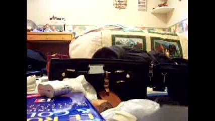 Cat in a Suitcase