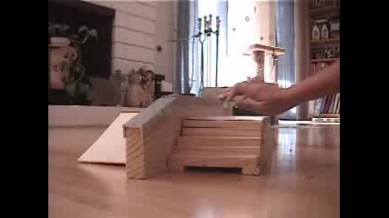 ~fingerboard~