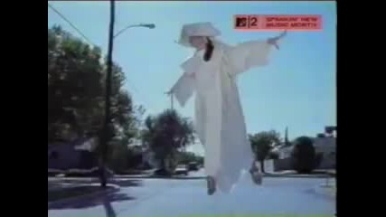 The breeders - Divine hammer 