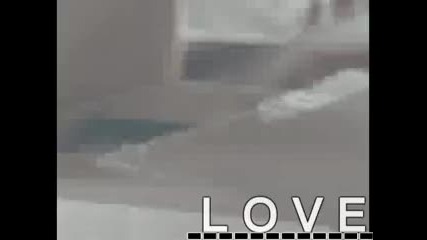 L O V E 